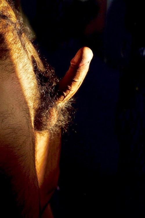 cuddlyuk-gay: I generally reblog pics of guys with varying degrees of hair, if you want to check out