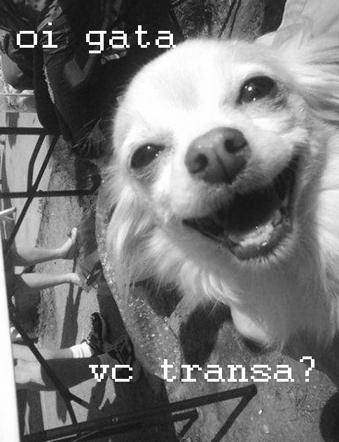 @bancandolagringa