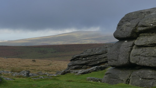 dartmoor