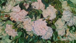 malinconie:  Vincent Van Gogh, Vase with Roses, detail   And I got to see this in person 