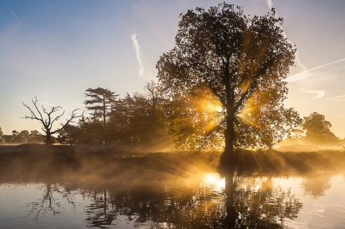 wnderlst:Langley Park, Buckinghamshire