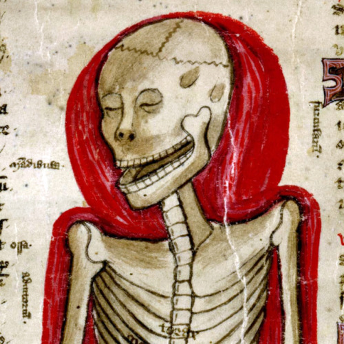 skeletal systemJohn Arderne, De arte phisicali et de cirurgia, England ca. 1425Stockholm, Kungliga b