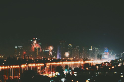 otariidaes:  4th of july | miami, florida 