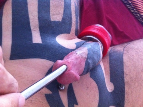 Gay Urethral sounding Sondage uretral gay