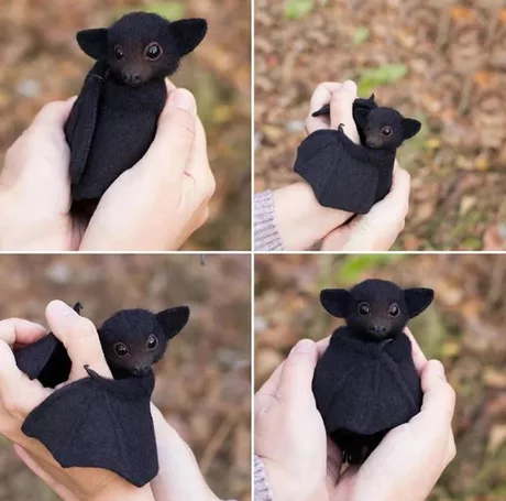 cutenessradar: Little Vampire