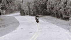 alexsexklaus:  the walking dead meme » seven characters [2/7] » Daryl Dixon   I