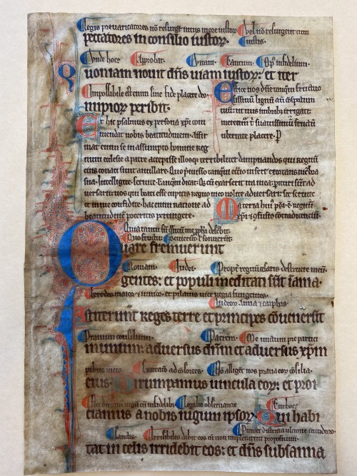 Ms. Coll. 591 Folder 4 - Psalter leafThis manuscript is a leaf from a psalter with red and blue flou