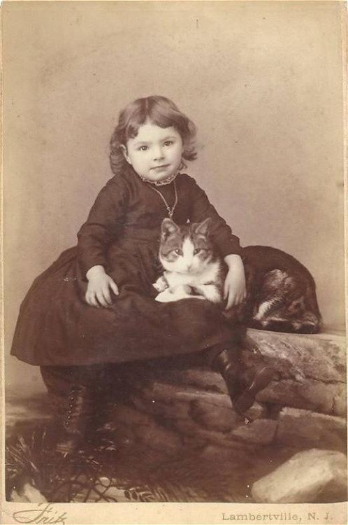 catsbeaversandducks:Cats In History: The Victorian EraChances are, if you are reading this, you li