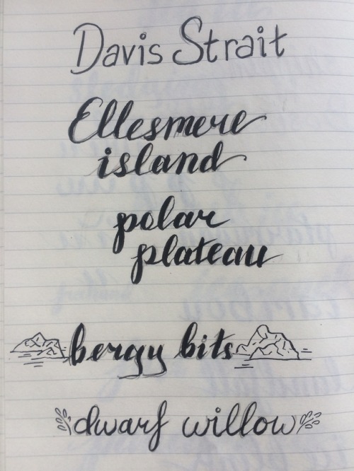 I had two coast to coast flights this week and I spent them practicing my hand-lettering, despite si