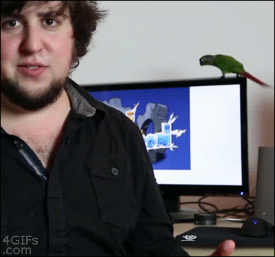 r10ang:  forgot how to bird