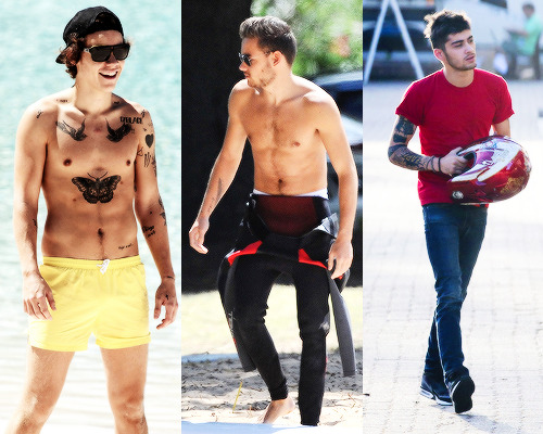 hstuyles:  1D Throwback 2013  One Direction in Australia   