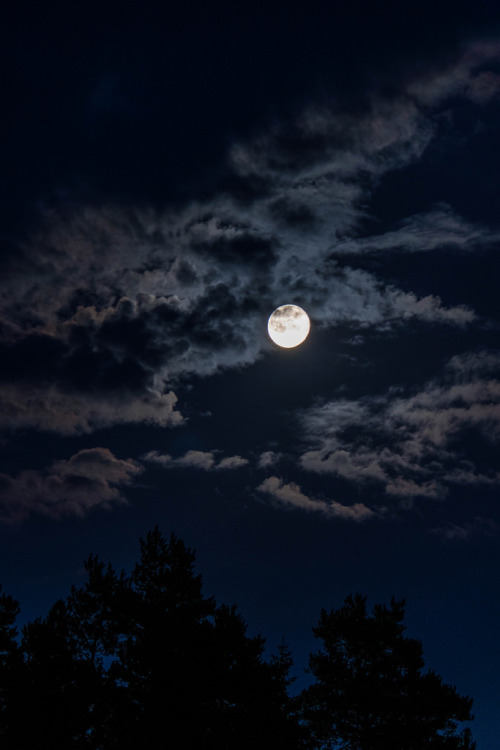 wolverxne: Peek-a-moon | by: { Niklas Günsberg }