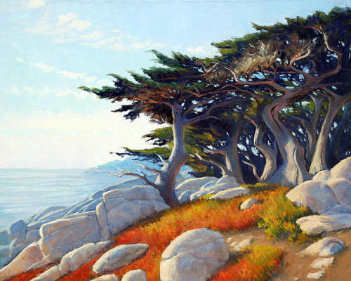 indigodreams:Monterey Cypress, Armand Cabrera