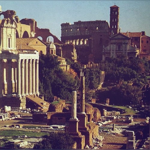 historyoftheancientworld: A window to the past….Forum Romanum, Rome #forumromanum #awindowtot