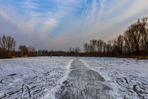 nature-hiking: I wish the weather was like this right now - De Kloosterwiel, Netherlands, March 2018