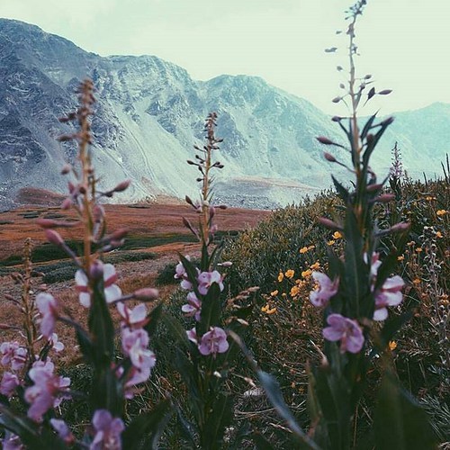 Blog image