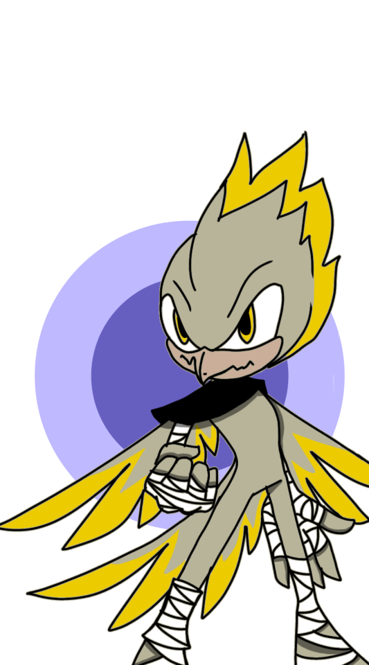 My Three Main Sonic OCs Description