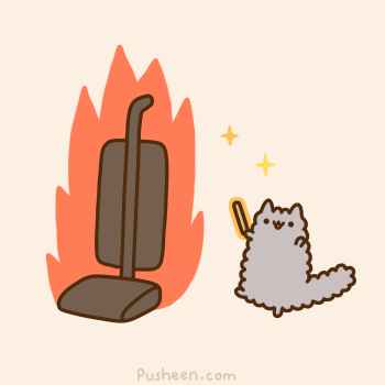 laughingsquid:  Cat Wizards