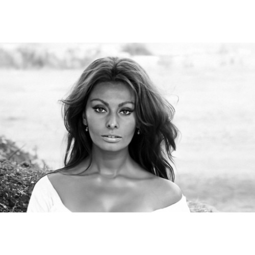 Sophia Loren, 1964. 