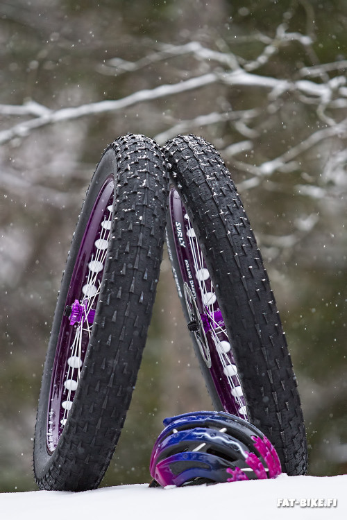 oldklein:  Snow is coming - wheels are ready…