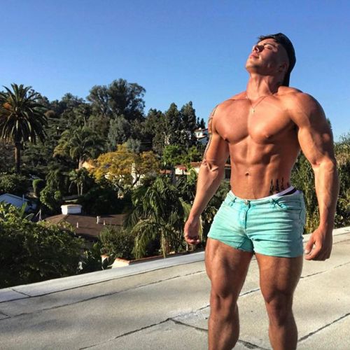 muscleryb:  Nickoles Alexander  
