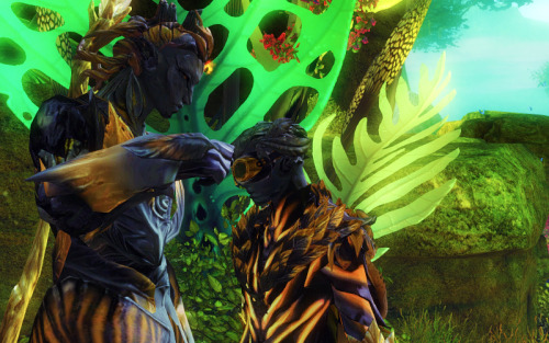 misvia:  Colourful Sylvari