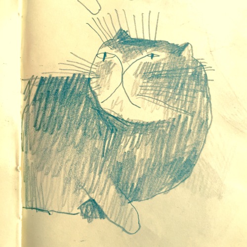 ingoraschka:my cat