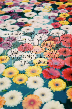 ♥ لا إله إلا الله