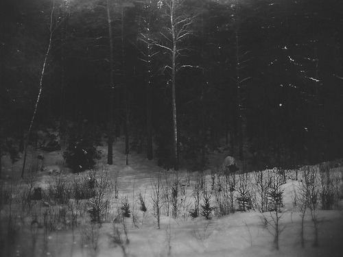corpxe.tumblr.com/post/73698007725/