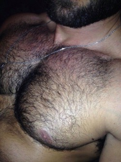 jeffys7:  That’s ONE FINE CHEST…BIG, PUMPED, and HAIRY