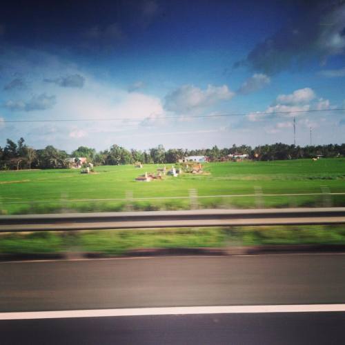 #vietnam #roadtrip #myasshurts #ricepaddies #farmlands #hotday☀️ (at Can Tho)