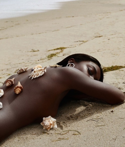 thevisualvamp: chaoticnutcase:Zuri Tibby by Elliot & Erick The shell game