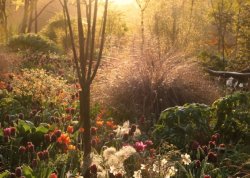 english-idylls:  Hunting Brook Garden, Co Wicklow, Ireland by Jimi Blake.