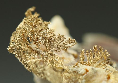 Native Gold on Calcite - Hope&rsquo;s Nose, Torquay, Devon, England