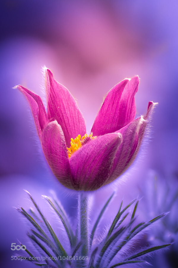 morethanphotography:  The hidden Core by PeterSpellerberg
