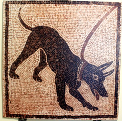 brown-soap-and-beer:Cave canem!Mosaic found in Pompeii, First Century AD, Naples National Archaeolog