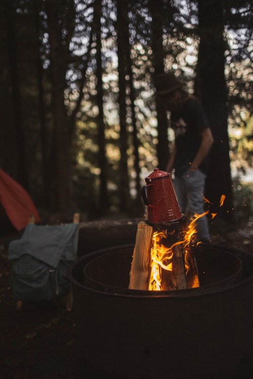 kodiakstag:  The crackle of the fire