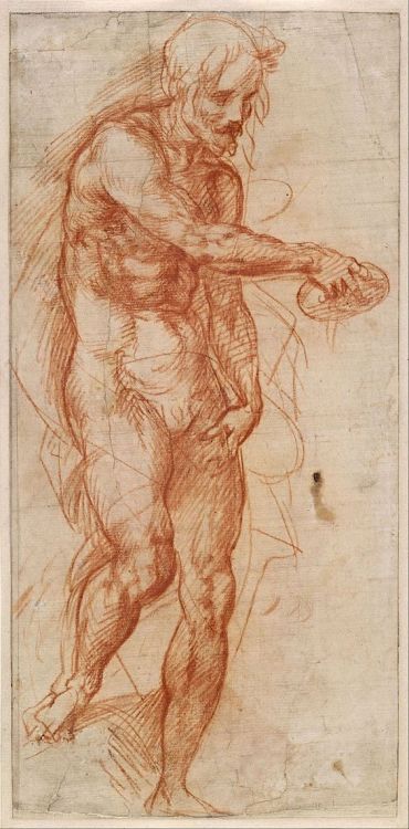 sculppp:Andrea del Sarto (1486-1530)Study for St John the Baptist, c.1517.