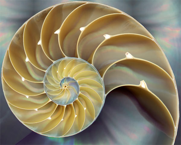 queenanunnaki:  “That which is Below corresponds to that which is Above, and that