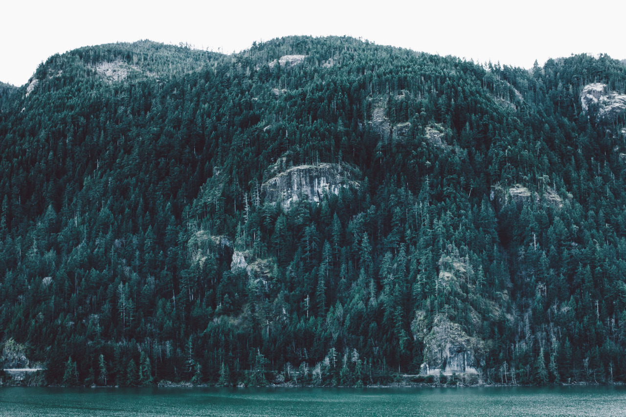 natureac:  This blog will make you feel at peace