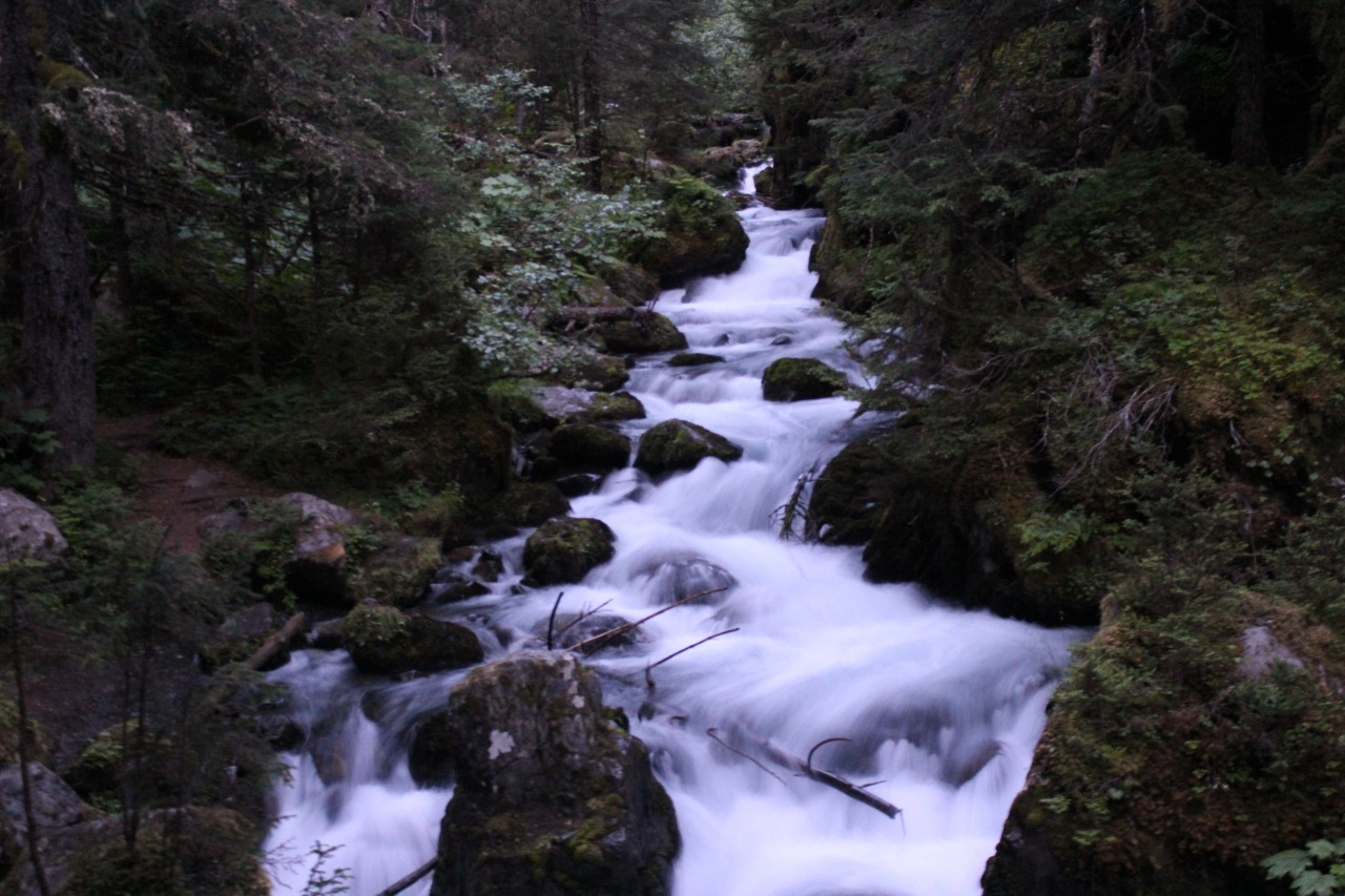 lamealaskan:  virgin creek falls in Girdwood Alaska  