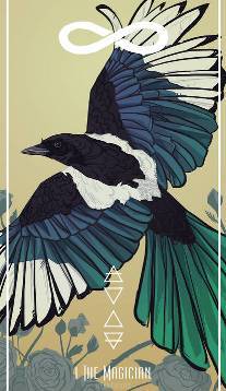 The Magician card in Birds Tarot by Fiona Marchbank