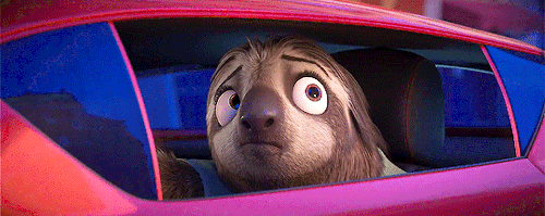 animations-daily:Zootopia (2016)