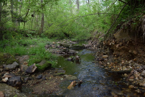 Pics from my rock collecting adventure at Cascade Springs pt1Photos By Marcelle Vielot Instagram @Gr