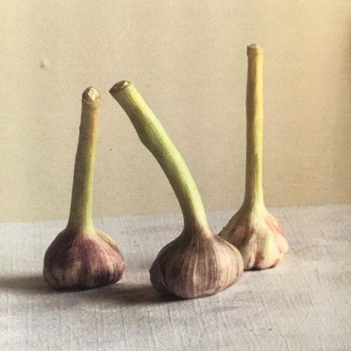 awaykeeping:  by skyegyngell http://ift.tt/1W9dYgr 