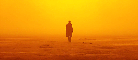 ryangoslingsource:Blade Runner 2049 dir. Denis Villeneuve