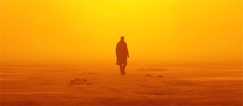 ryangoslingsource:Blade Runner 2049 dir. Denis Villeneuve“Roger will create a corridor for the shot.
