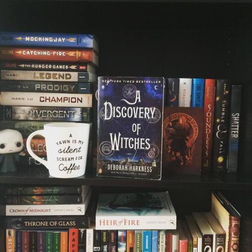 The current read! A Discovery of Witches, by Deborah Harkness. #book #currentread #2016readsandrevie