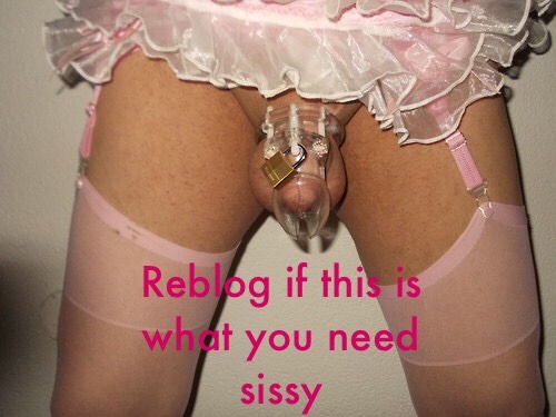 sissyscout10: Reblog so I can find you sissy.