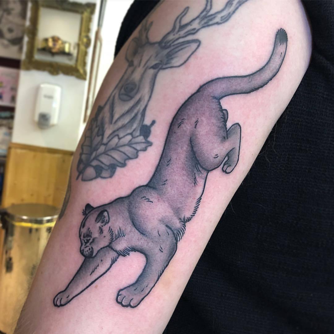 black and grey Mountain lion tattoo done by cesar perez from keene NH by  Cesar Perez Tattoos TattooNOW